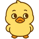 suspiciousDuck